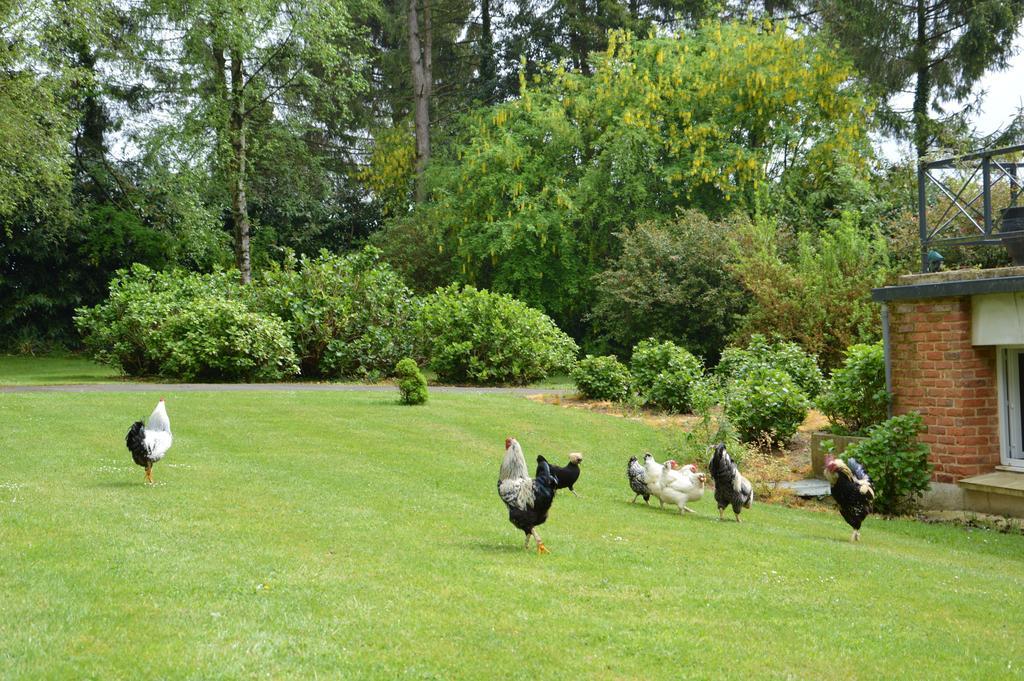 La Grange Des Marettes Bed and Breakfast Cléres Buitenkant foto